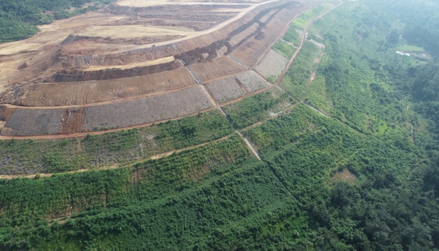 Rehabilitation and Closure Studies