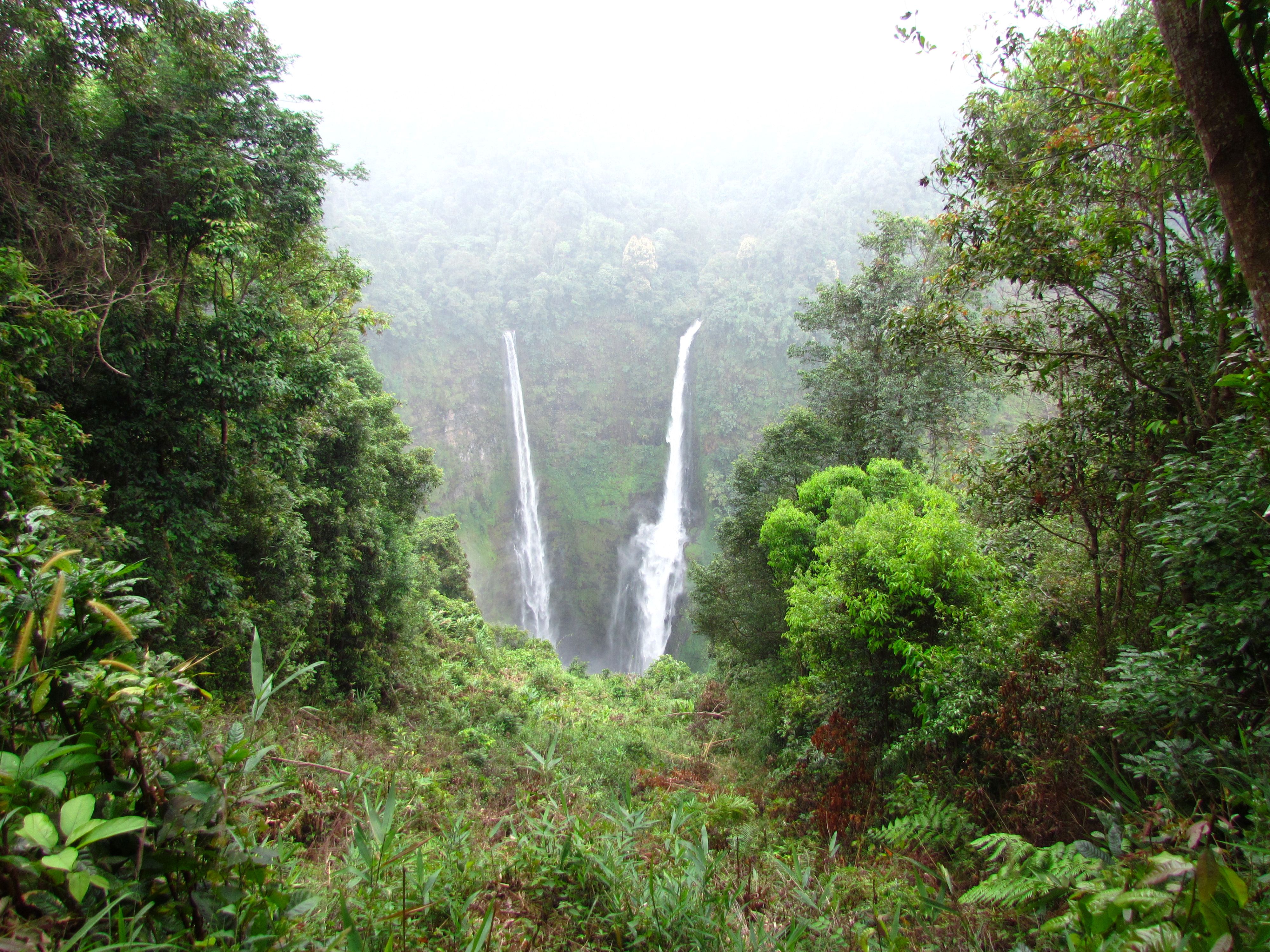 GIS Mapping, Land-Use / Inventory of Losses (IOL) Surveys, Forest Verification