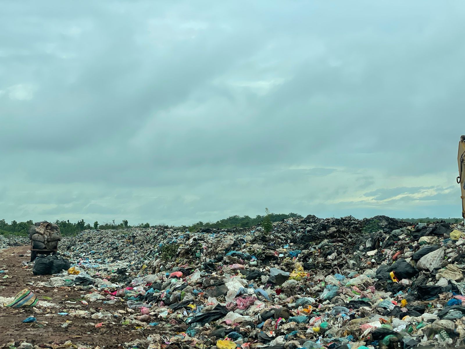 ESL field work photo 8