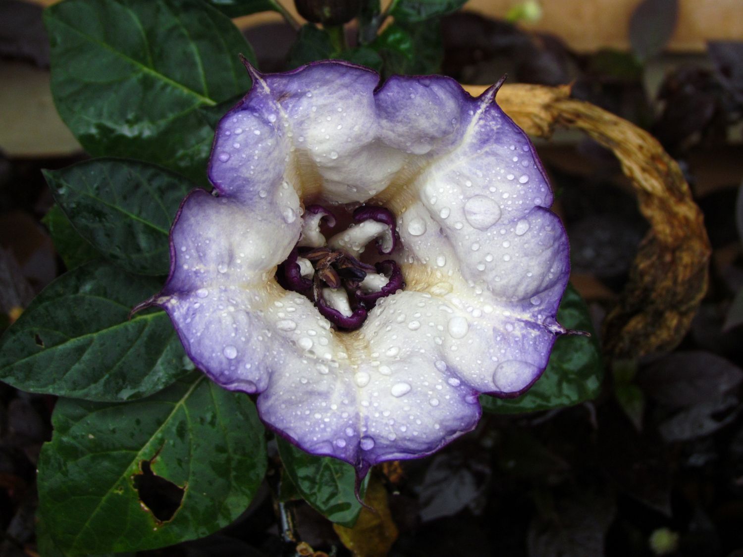 ESL field work photo 4